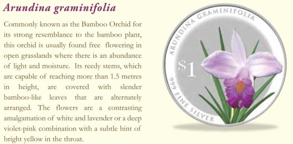 Singapore 2016 Silver $1 Orchid Coin - Arundina graminifolia Description