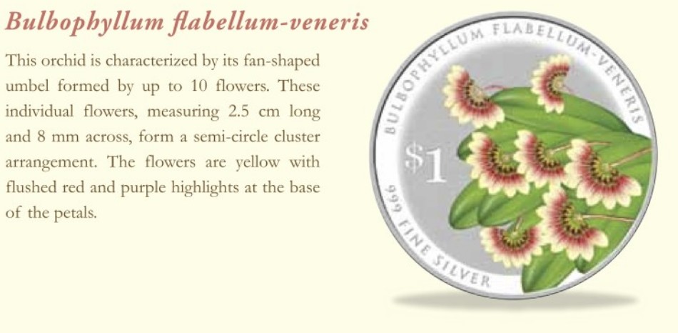 Singapore 2016 Silver $1 Orchid Coin - Bulbophyllum flabellum-veneris Description