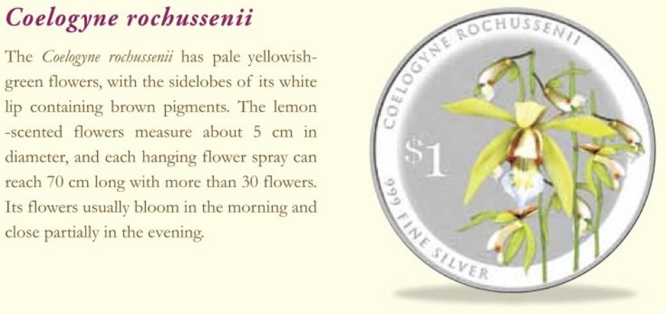 Singapore 2016 Silver $1 Orchid Coin - Coelogyne rochussenii Description