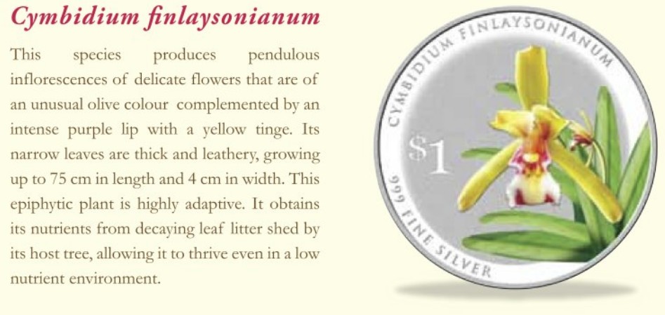 Singapore 2016 Silver $1 Orchid Coin - Cymbidium finlaysonianum Description
