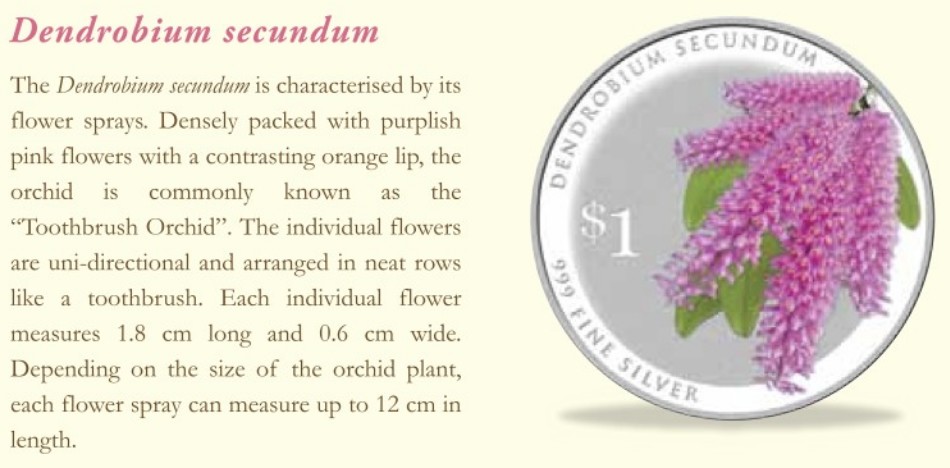 Singapore 2016 Silver $1 Orchid Coin - Dendrobium secundum Description