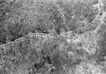 Effigy Mound National Park - Marching Bear Group